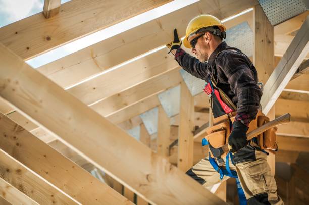Professional Roofing Contractor in Holiday Shores, IL